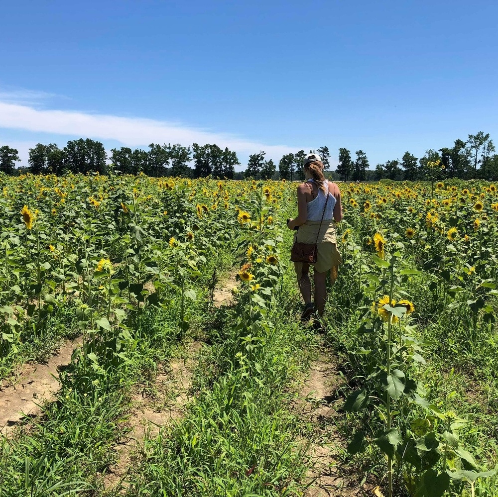 Meet your Posher, Kait